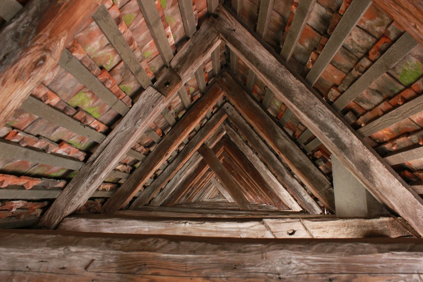 Attic Cleanouts in Wilbon, NC