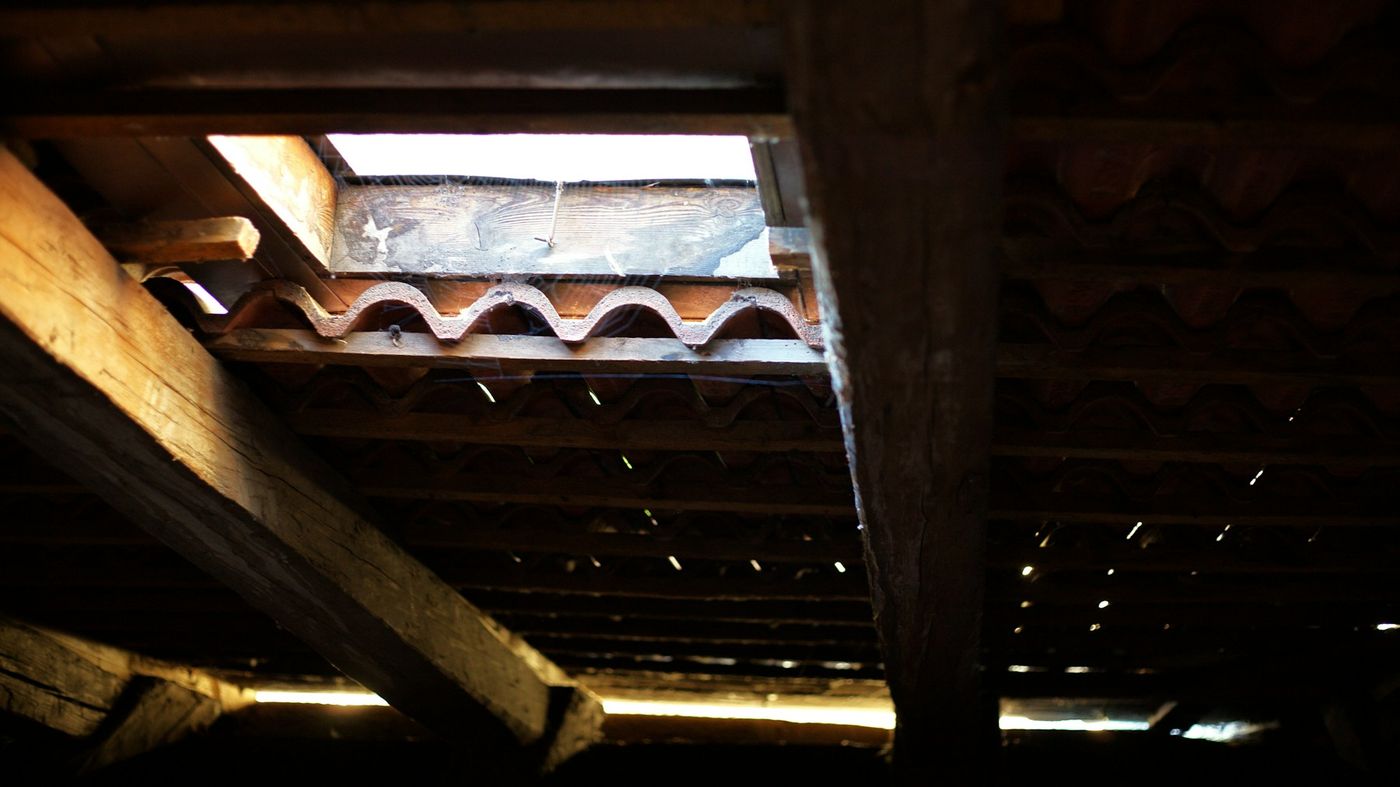 Attic cleanouts