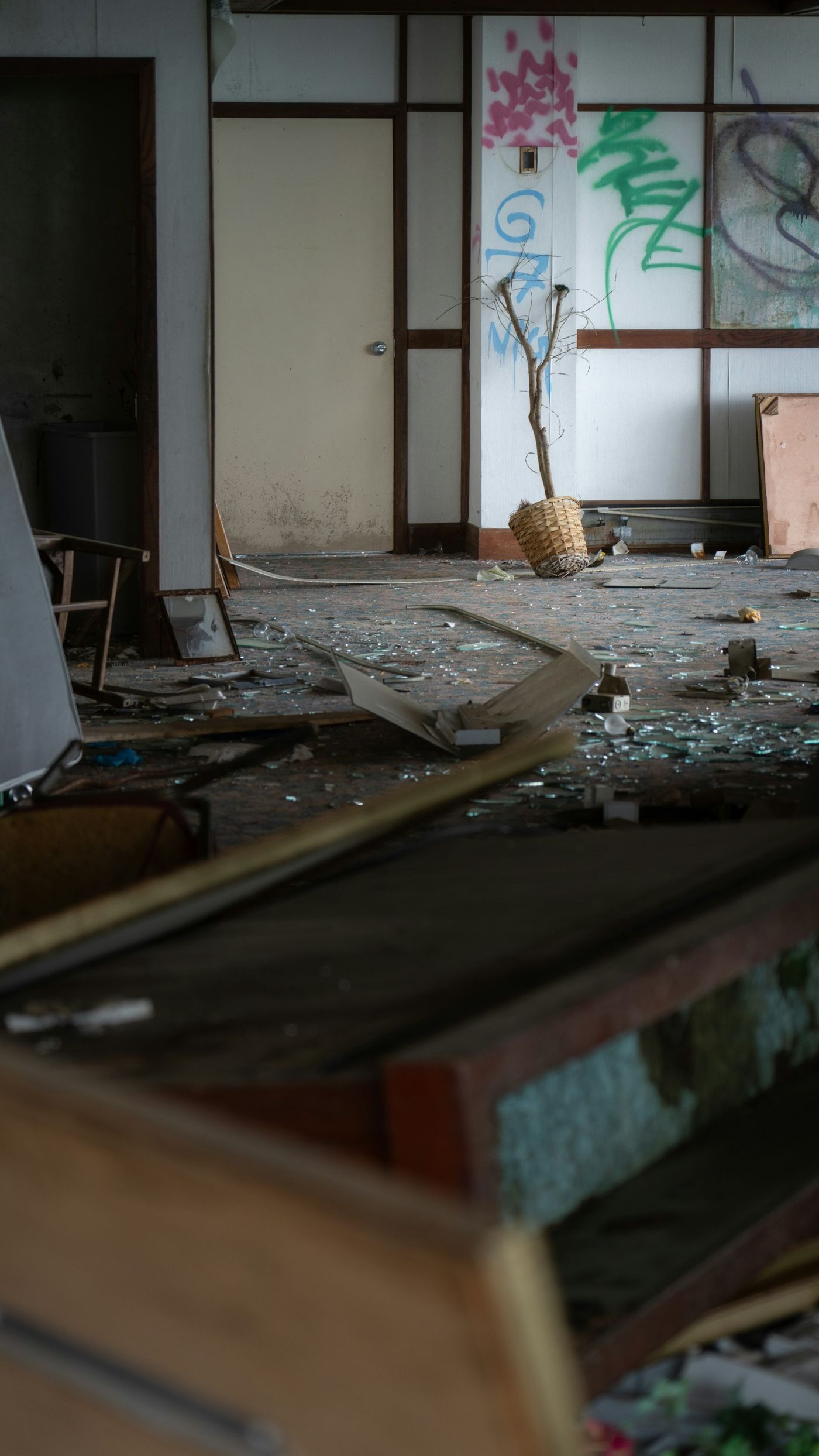 Estate Cleanouts in Fuquay-Varina, NC