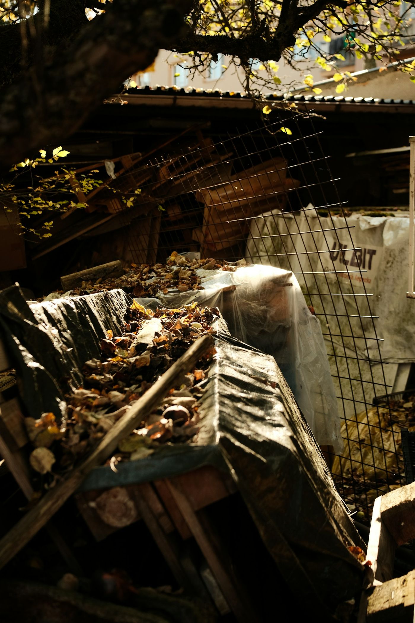 Yard Waste Removal in Apex, NC