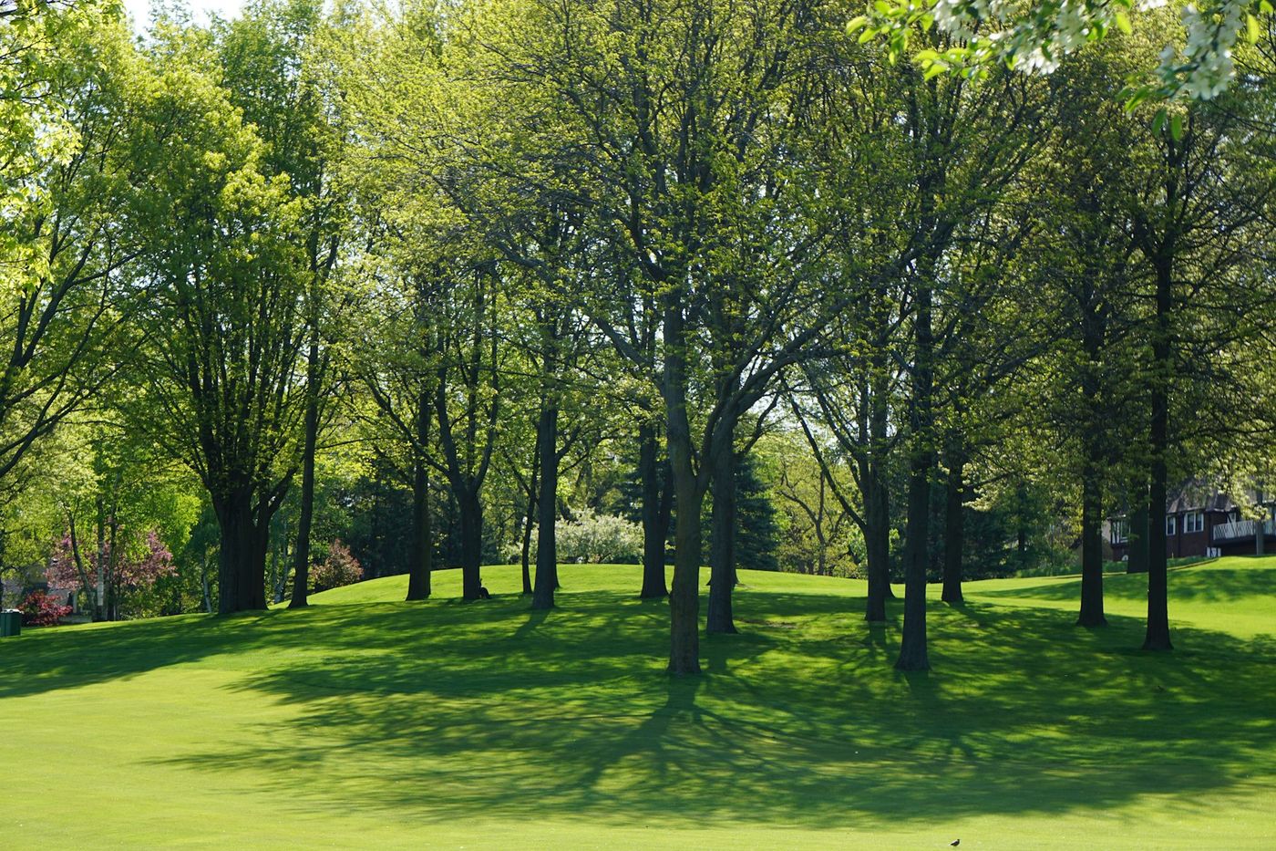 Shed Removal in Archer Lodge, NC, after