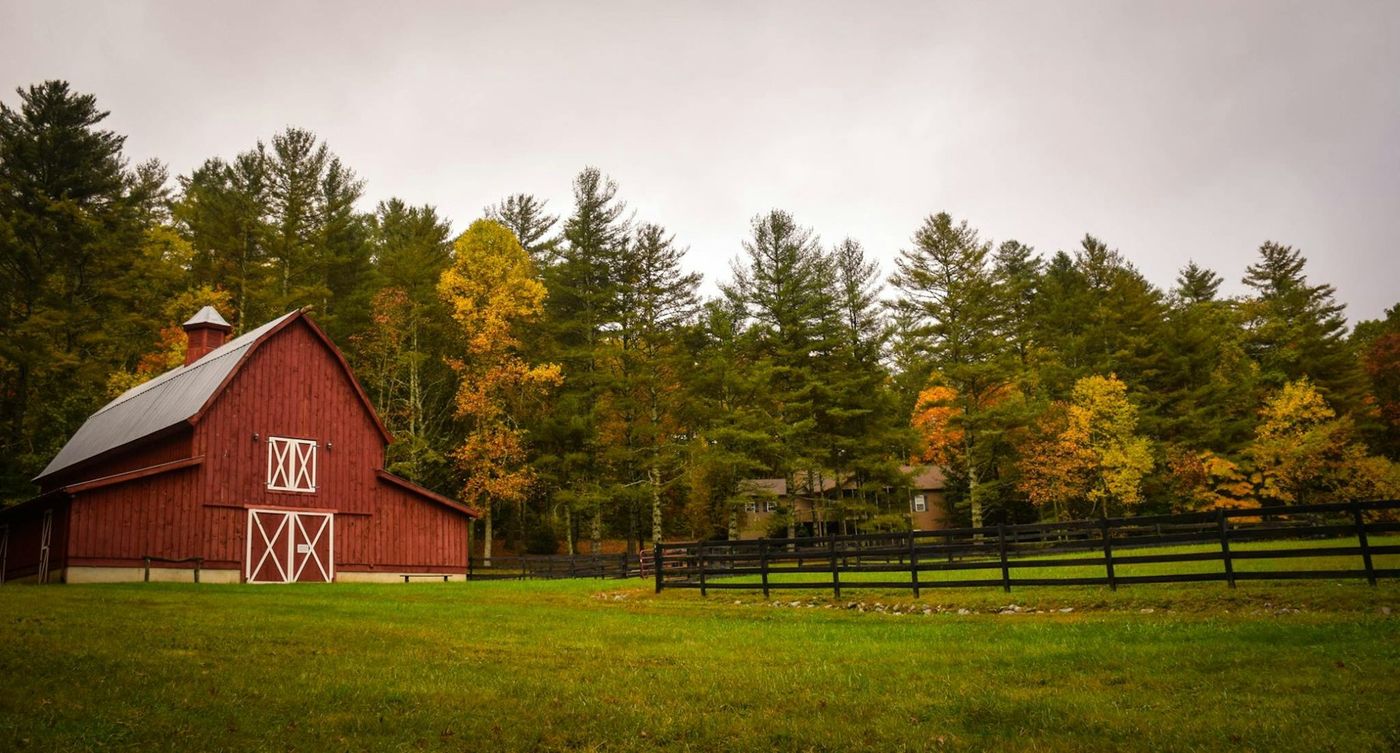 Open acreage property near Jordan Lake in New Hill, NC