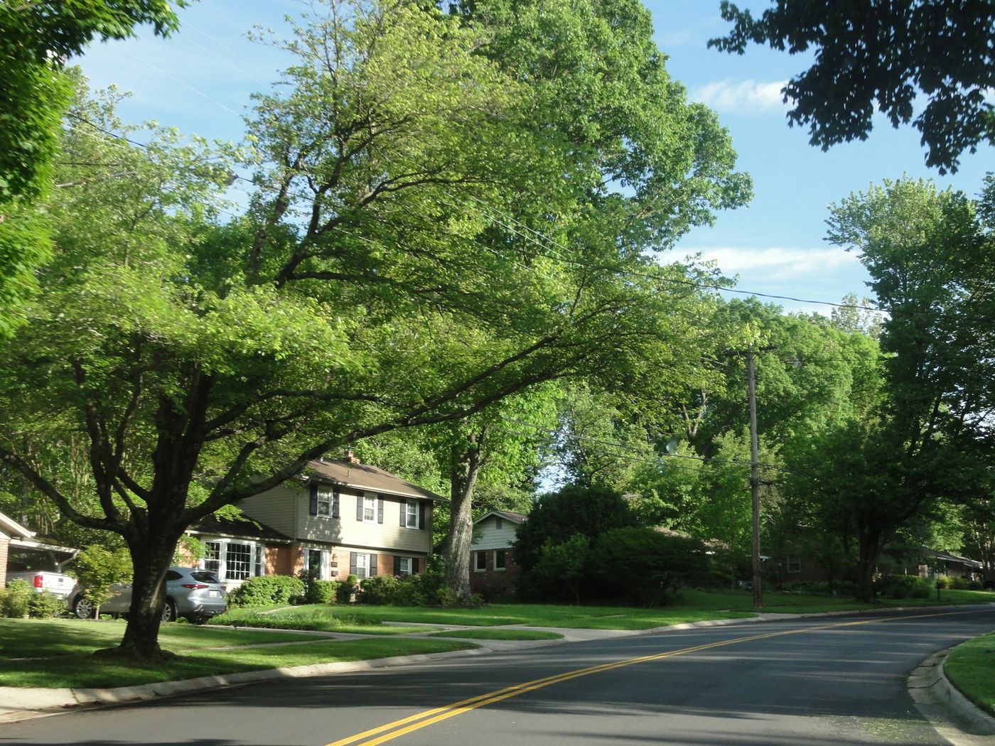 A Wake Forest, NC residential neighborhood