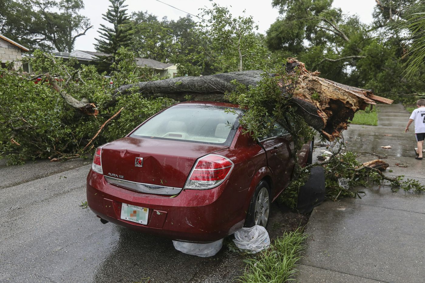 Storm debris