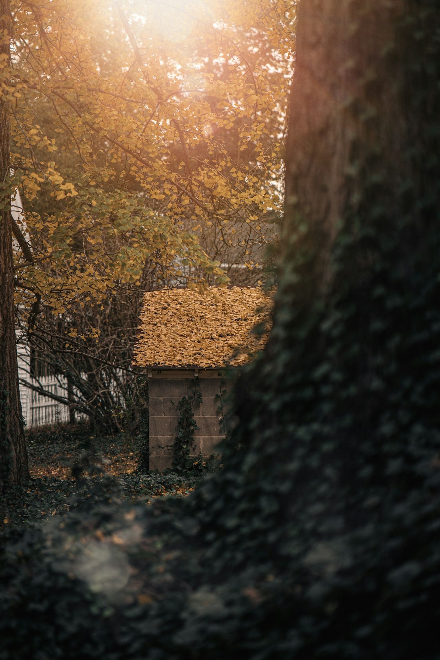 Unused Workshop