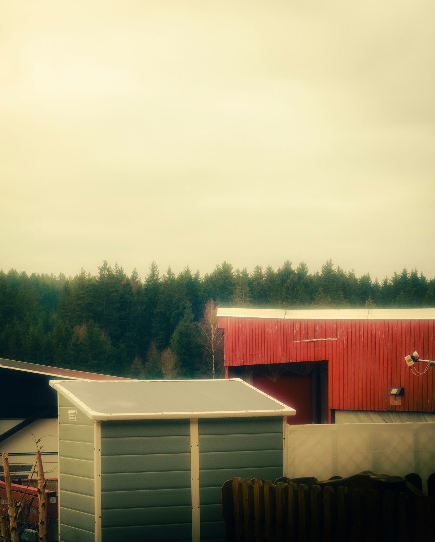 Shed Removal