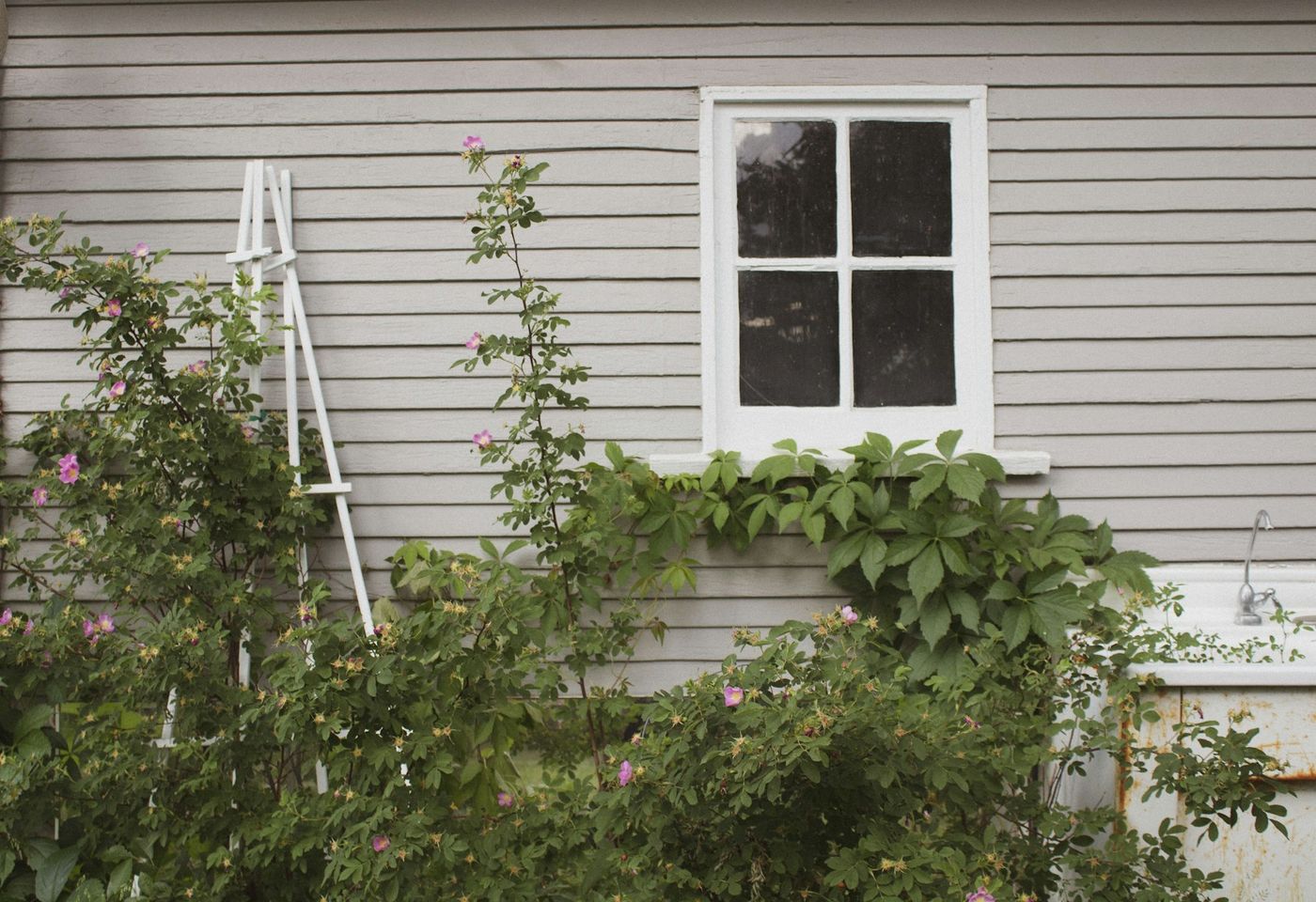 Shed Removal in Holly Springs, NC