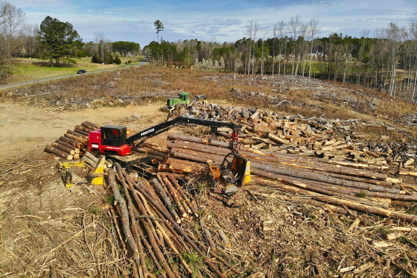 Yard cleanup