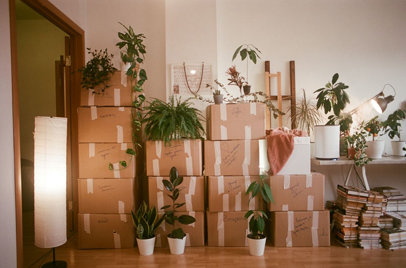 Boxes